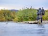 Hooked up fish jumping fly fishing