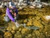 Alaska catch and release fishing