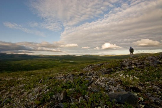 Fran hike_tundra_landscape-1-lg